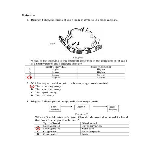 answer-for-gaseous-exchange-exercise-pdf