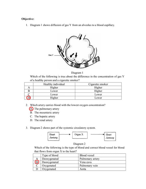 Answer For Gaseous Exchange Exercise | PDF answer-for-gaseous-exchange-exercise-pdf