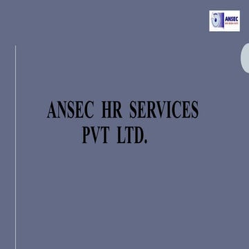 Ansec secutity-service | PDF