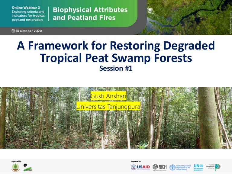 thumbnail of  A framework for restoring degraded tropical peat swamp forests