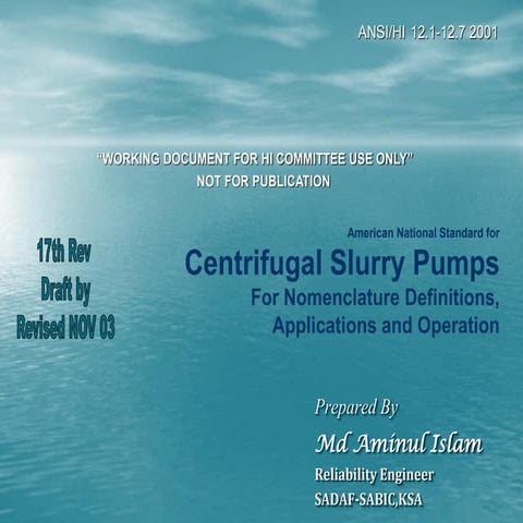 ANSI pump standard