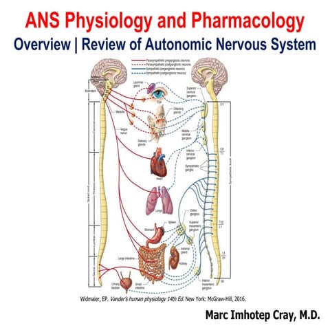 Autonomic Nervous System Physiology and Pharmacology_Overview| Review of ANS