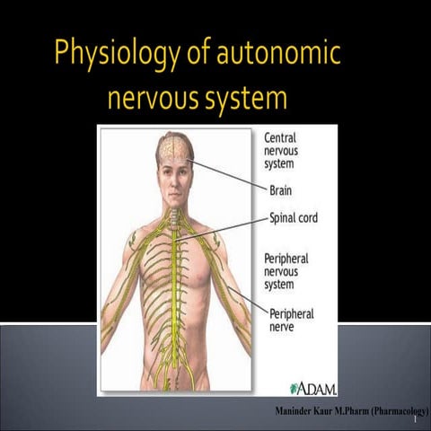 physiology of Autonomic nervous system