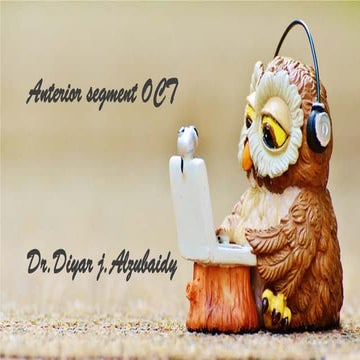 Anterior Segment OCT in Ophthalmology