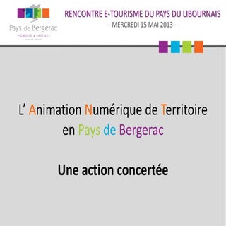 L&rsquo;Animation Numérique en Pays...