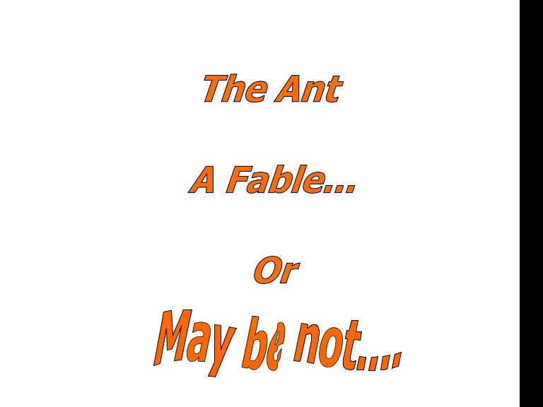 ant story ppt