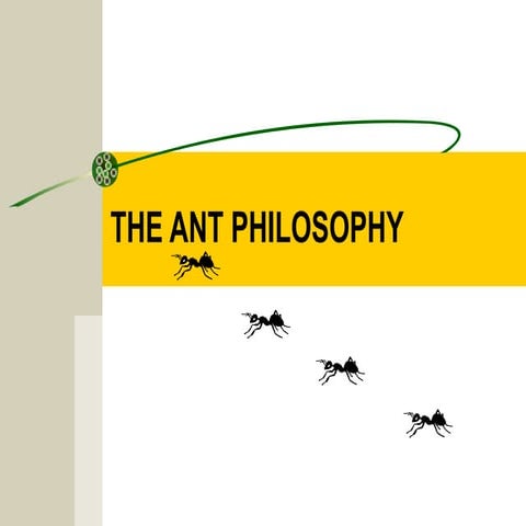 Ant 20 philosphy_5b1_5d