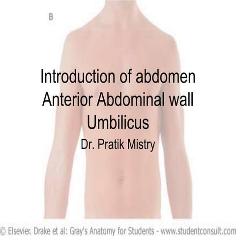 Ant abdominal wall-1 | PPTX