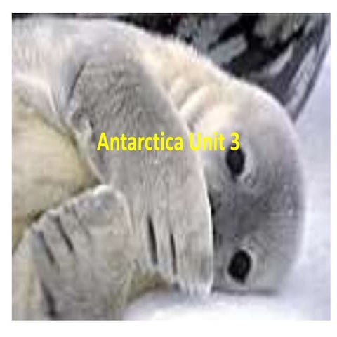 Antarctica unit 3