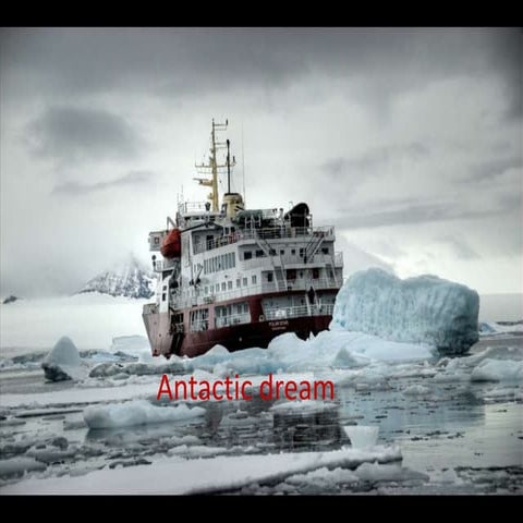 Antarcticdream