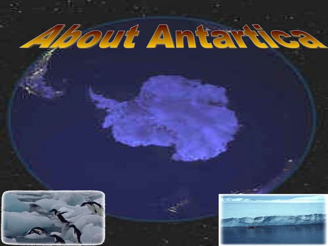 Antartica by judy flores