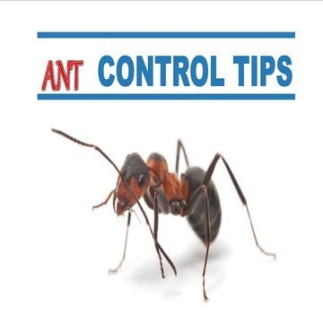 Adv. Ant Control PDF.pdf