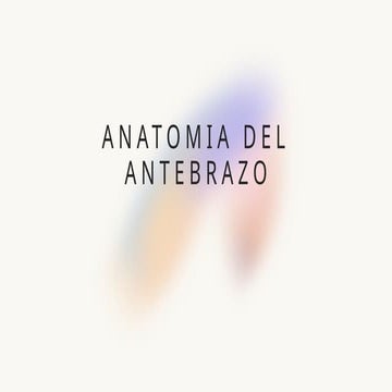 antebrazo descripción anatómica mus.pptx