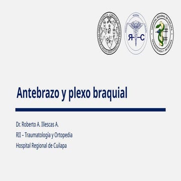 Antebrazo y plexo braquial - Final.pptx.