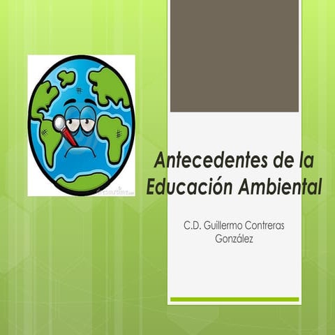 Antecedentes en educación ambiental