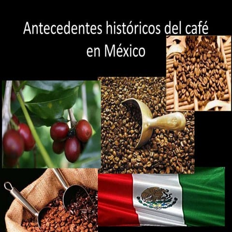 Antecedentes históricos del café en méxico robert y guchi