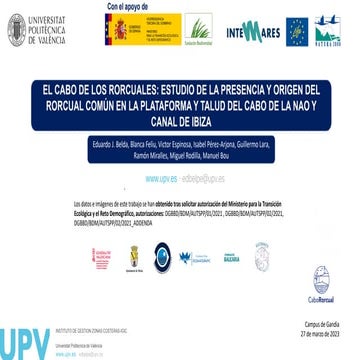 Antecedentes y objetivos del proyecto CaboRorcual 