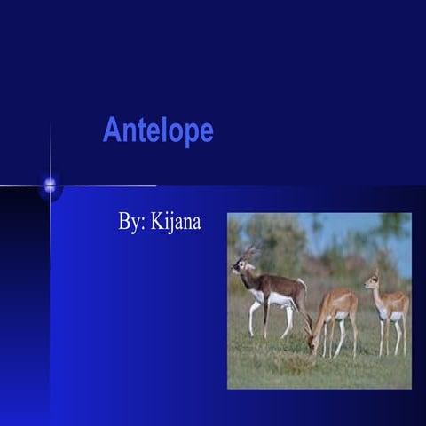 Antelope by Kijana