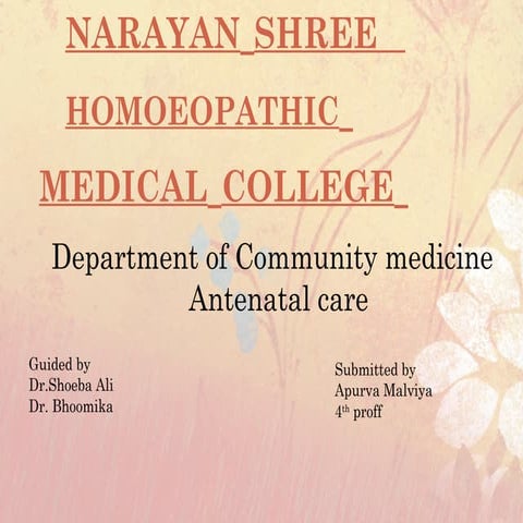Antenatal_Care_Presentation.pptx easy basic | PPTX
