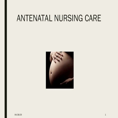 Antenatal care. Doğum öncesi anne bakımıppt