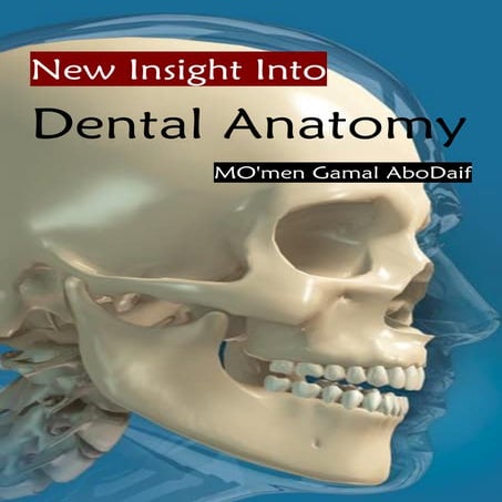 morphology of Maxillary central and lateral incisors teeth | PPT