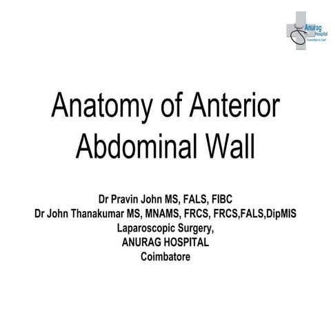 Anterior abdominal anatomy ppt