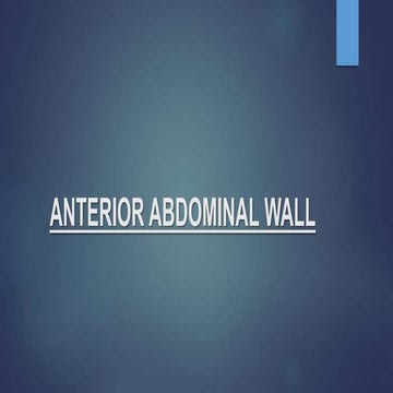 Anterior abdominal wall