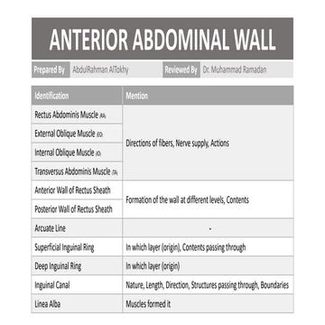 Anterior abdominal wall lab summary 