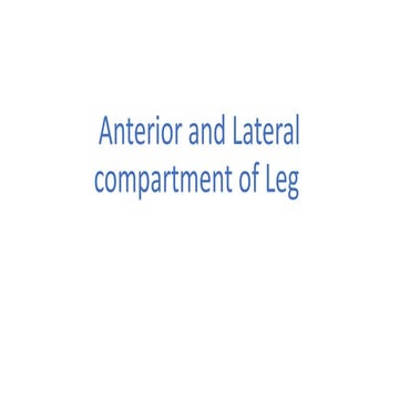 Anterior and Lateral compartment of Leg.pptx