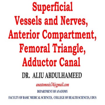 Anterior aspect of thigh femoral adductor canal 2023.pptx