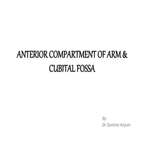 Anterior compartment of arm & cubital fossa