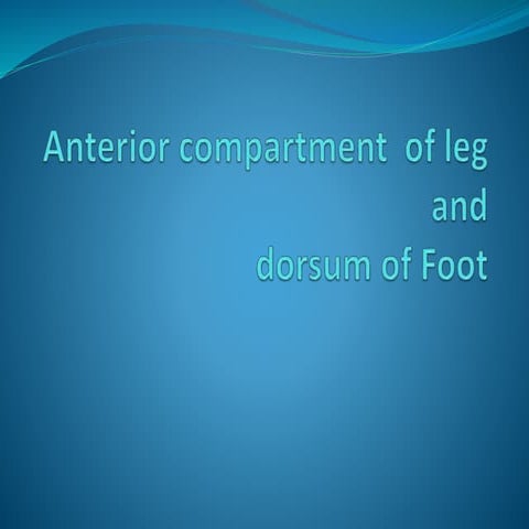 Anterior compartment  of leg and Dorsum of foot 