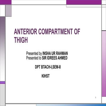Anterior compartment of thigh by insha ur rahman