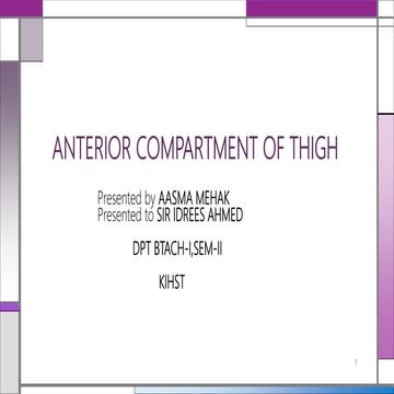 Anterior compartment of thigh   copy