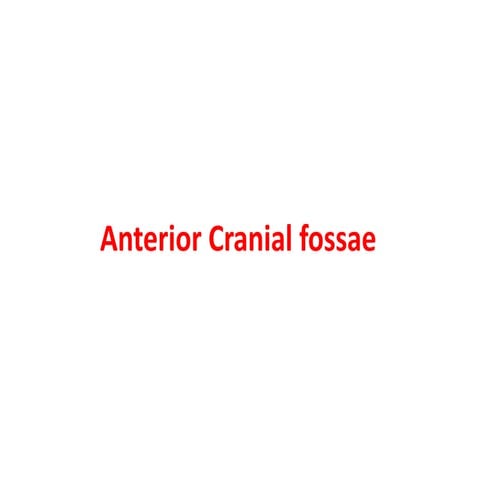 anterior cranial fossa.pptx