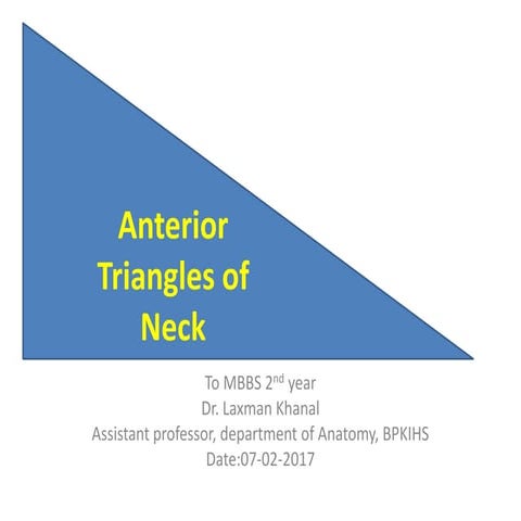 Anterior triangle of neck