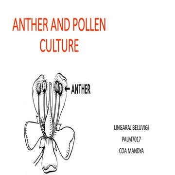 Anther and pollen culture