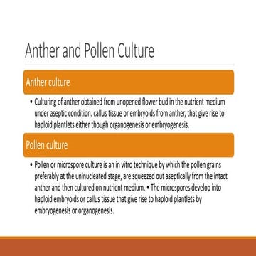 Anther and Pollen culture
