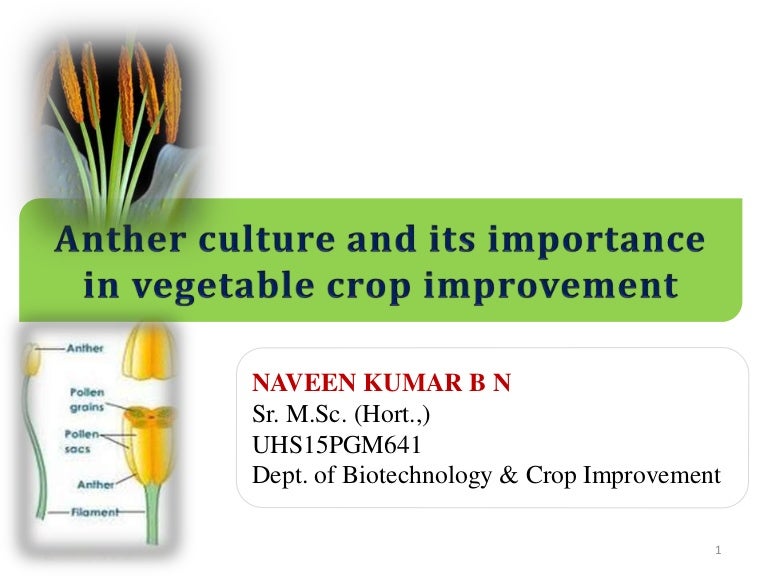 Anther culture & its importance in vegetable crops