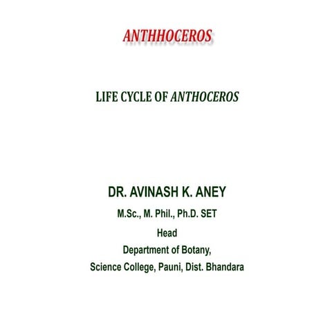 Anthoceros.ppt