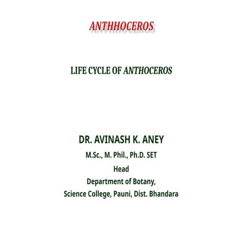 Life cycle of Anthoceros, Bryophyta, member of the class Anthocerotopsida .ppt