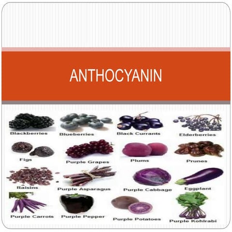 Anthocyanin