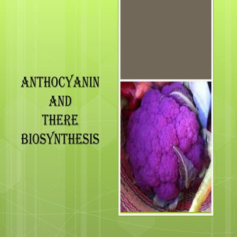 Anthocyanin and there biosynthesis by saurabh seth