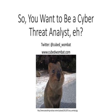 bsides NOVA 2017 So You Want to Be a Cyber Threat Analyst eh?