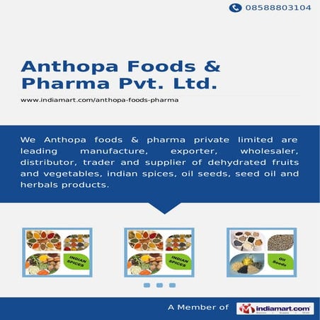  Anthopa Foods & Pharma Pvt. Ltd., Ahmedabad, Indian Spices