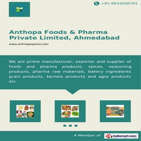 Shelled Peanuts by Anthopa foods-pharma-private-limited-ahmedabad