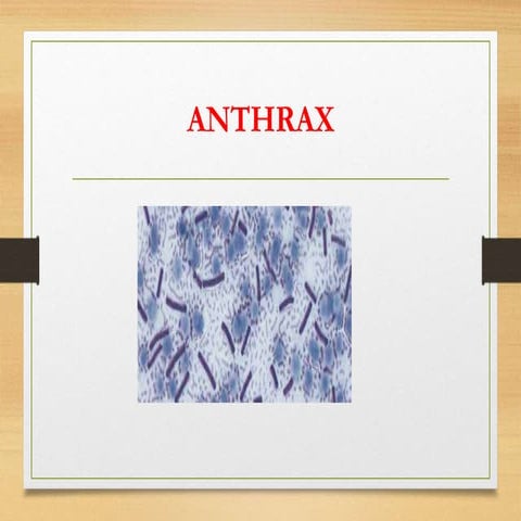 ANTHRAX.pptx animal disease highly contagious | PPTX