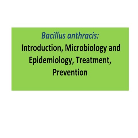 Anthrax Akaki 20161129