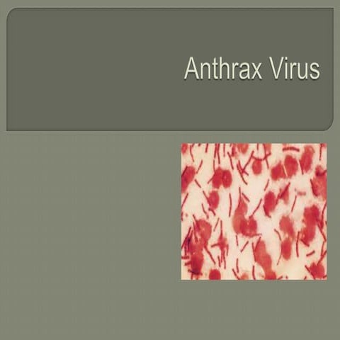 Anthrax 