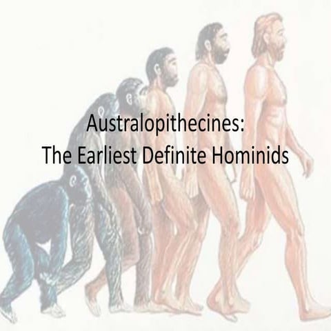 The Australopithecines- Anthropology | PPTX